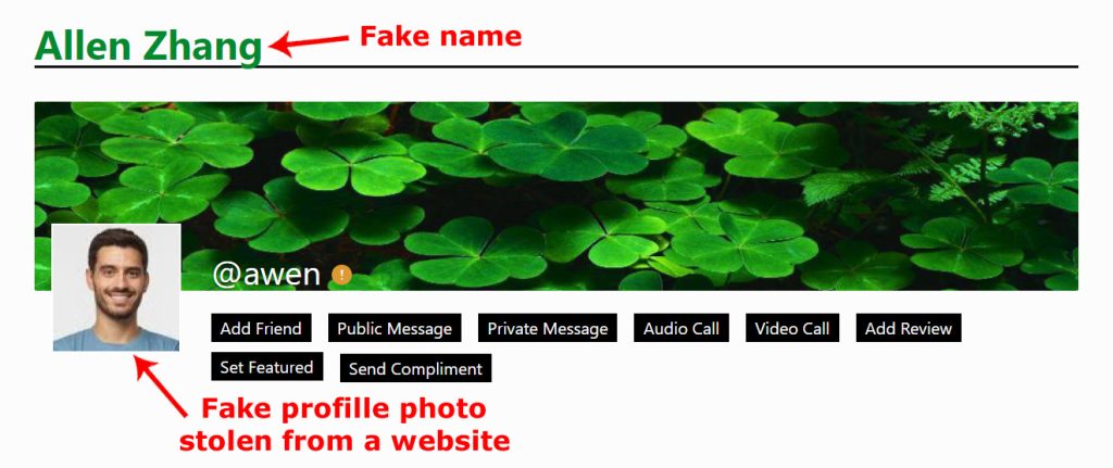a fake profile