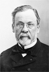 Louis Pasteur Louis Pasteur