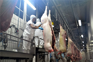 slaughterhouse slaughterhouse