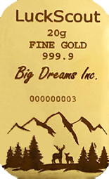 Typical LuckScout 20g Gold Bar