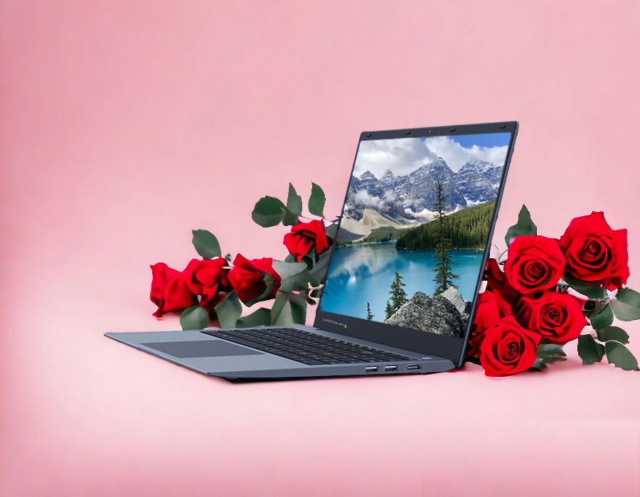 QuantumFlex ProBook QuantumFlex ProBook