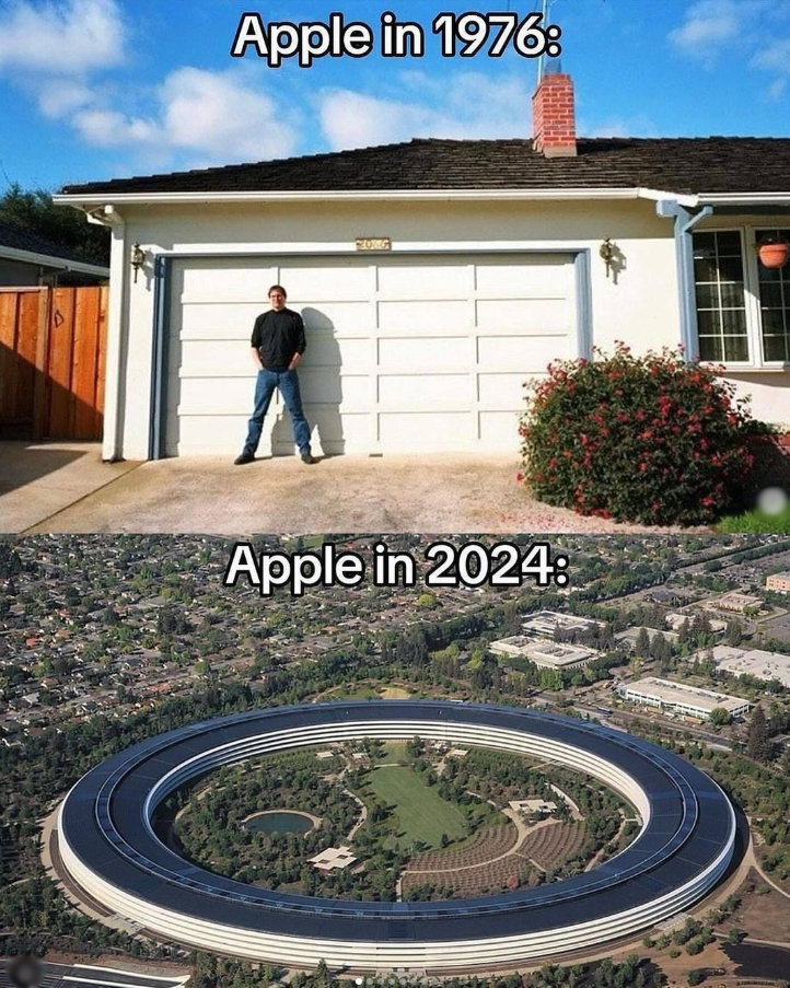 Apple Apple